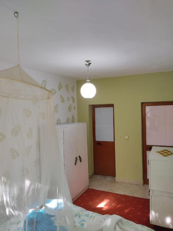 Private Apartment Elbasan Historic Center Ngoại thất bức ảnh