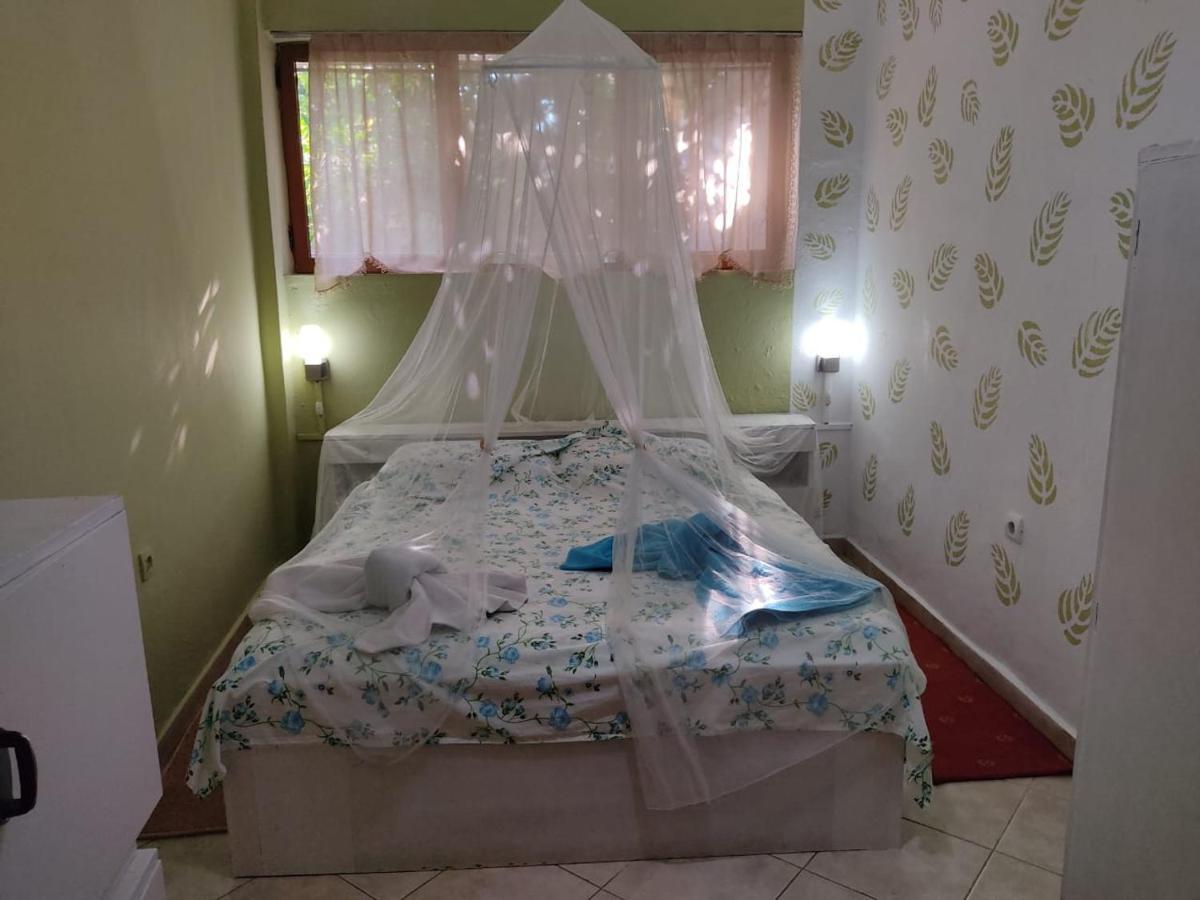 Private Apartment Elbasan Historic Center Ngoại thất bức ảnh