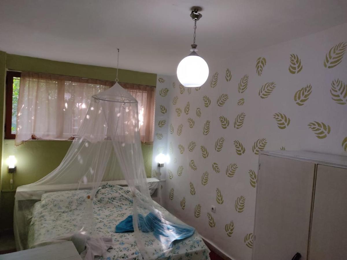 Private Apartment Elbasan Historic Center Ngoại thất bức ảnh