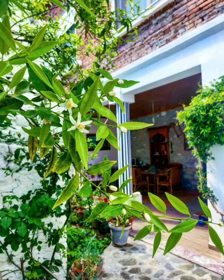 Private Apartment Elbasan Historic Center Ngoại thất bức ảnh